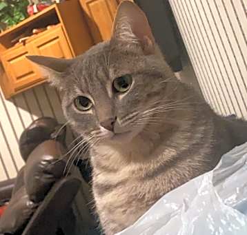 Photo of Molly