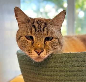 Photo of Max