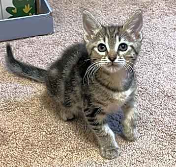 Photo of Jazz