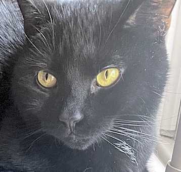 Photo of MACHO