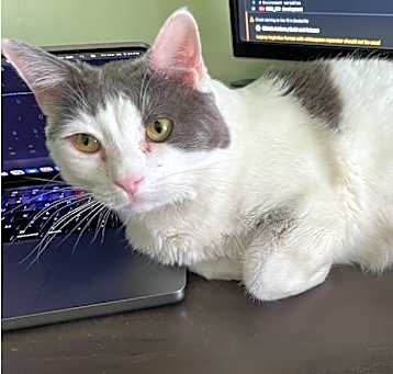 Photo of Sina