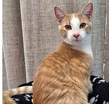Photo of Simon