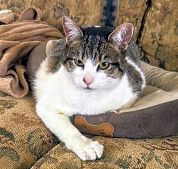 Photo of Calie