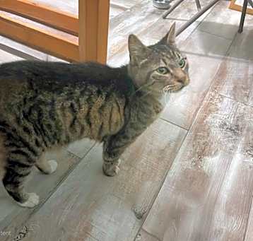 Photo of Minky Pie