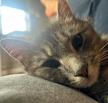Photo of Tabatha