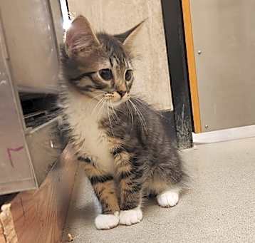 Photo of Princess Poppy