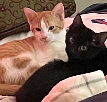 Photo of Stela and Cesar