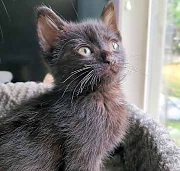 Photo of Bugsey
