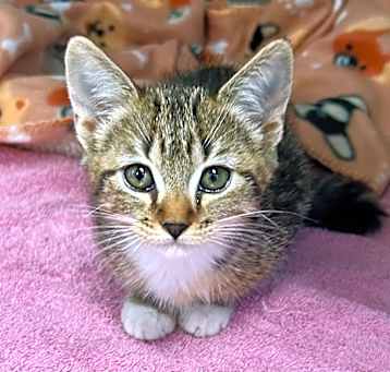 Photo of Cater