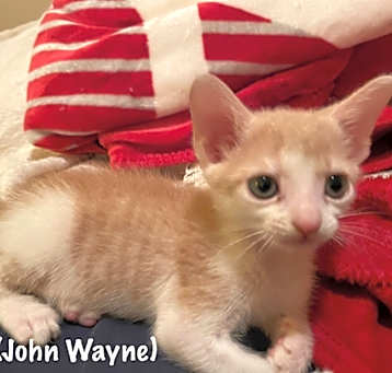 Photo of JW (John Wayne)