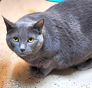 Photo of Luna