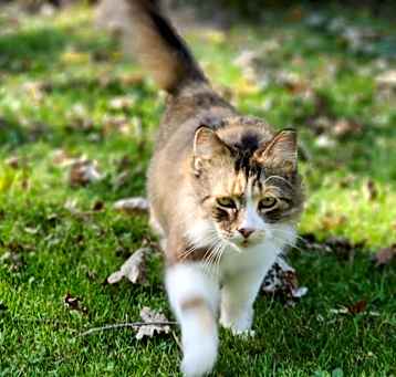 Photo of Eloise