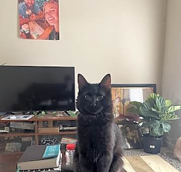 Photo of Trick