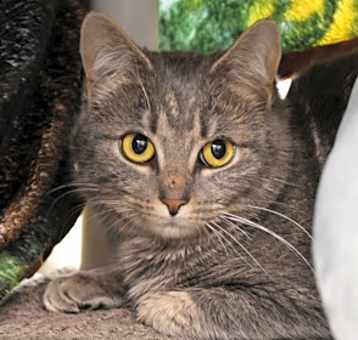 Photo of Frankie