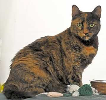 Photo of GiGi