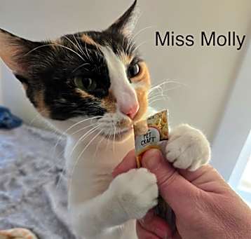 Photo of Molly
