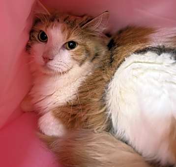 Photo of Sandy