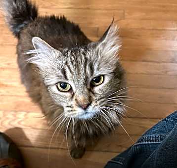 Photo of Bette Boo