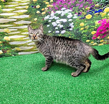 Photo of Sugar
