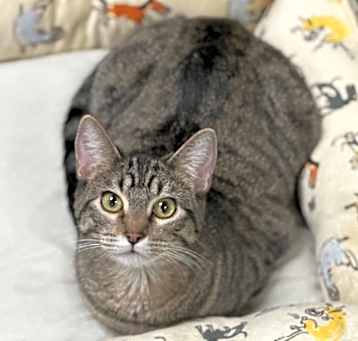 Photo of Princess