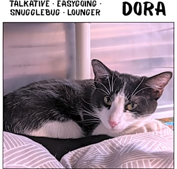 Photo of Dora