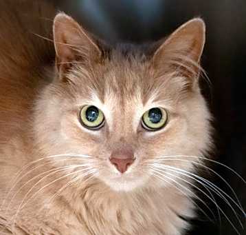 Photo of Spice