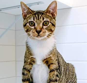 Photo of Wakko