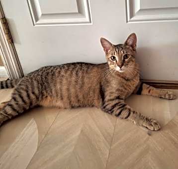 Photo of Sandy