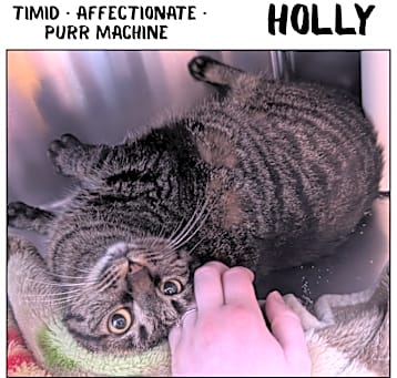 Photo of Holly 