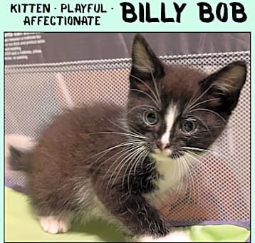 Photo of Billy Bob