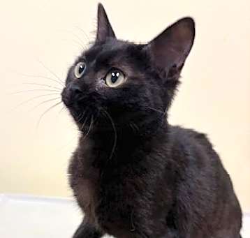Photo of Buffy