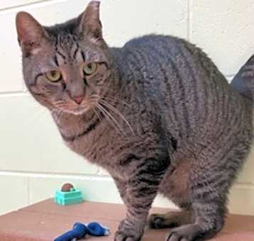 Photo of Jasper