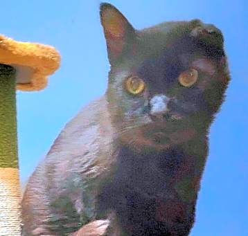 Photo of Julian