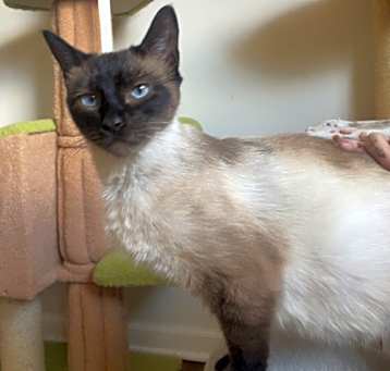 Photo of Mystique