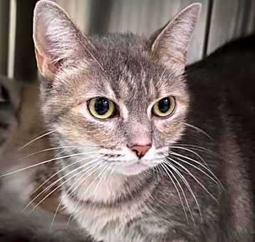 Photo of Lucky