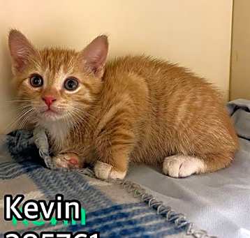 Photo of KEVIN