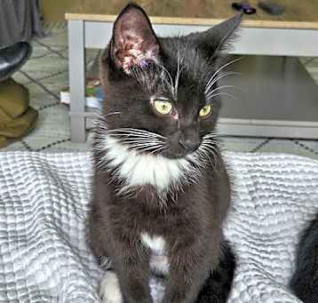 Photo of Millie