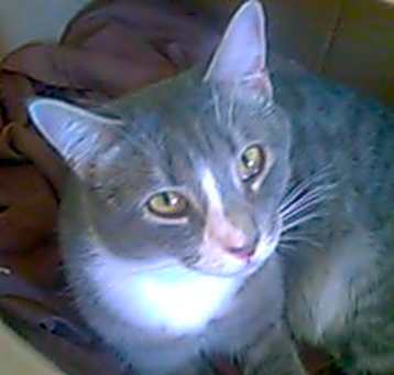 Photo of Edgar