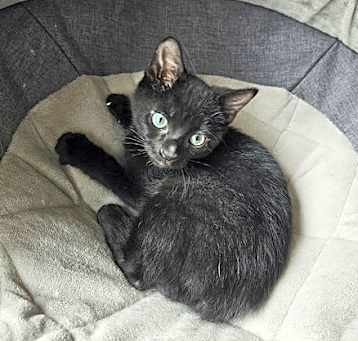 Photo of Jasper