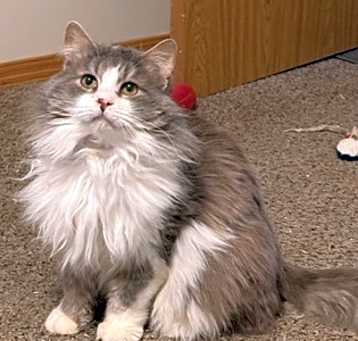 Photo of Rodney