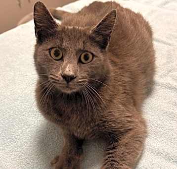 Photo of Persephone