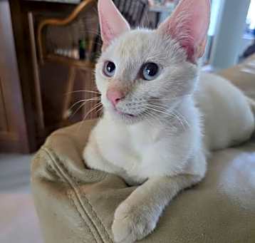 Photo of Bernard