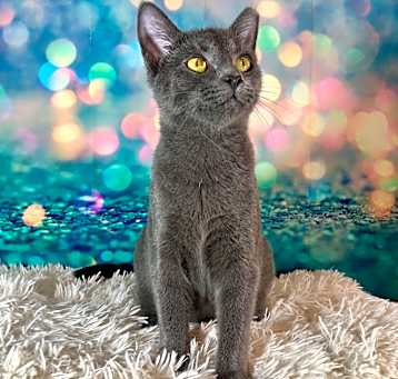 Photo of Cagney