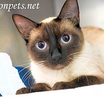 Photo of Nellie #19070
