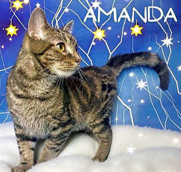 Photo of Amanda