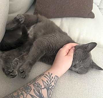 Photo of Stormi