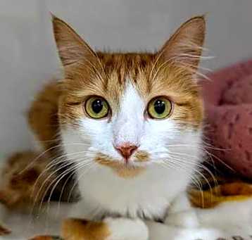Photo of Francheska
