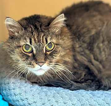 Photo of Mabel