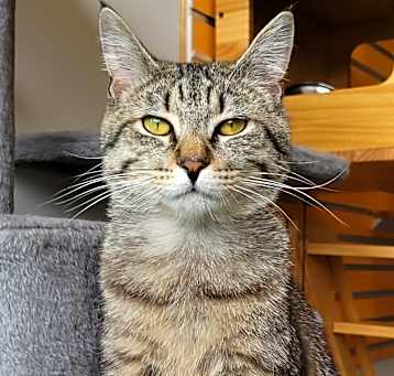 Photo of Roo