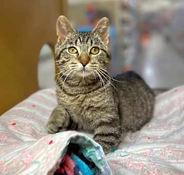 Photo of Lucky